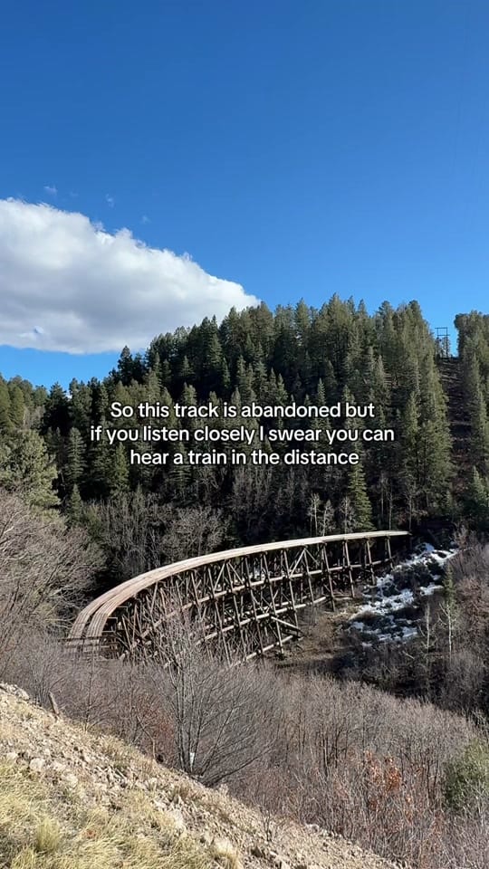 Post 6 by theroaminnumeral on TikTok (video)