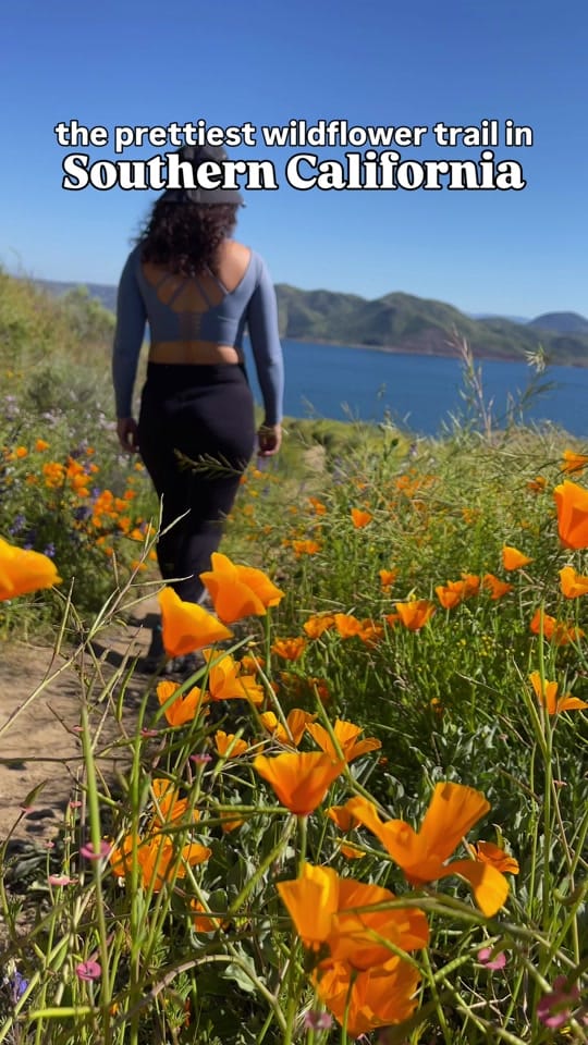 Post 4 by Jeanine | adventure travel on TikTok (video)