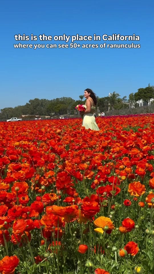 Post 5 by Jeanine | adventure travel on TikTok (video)