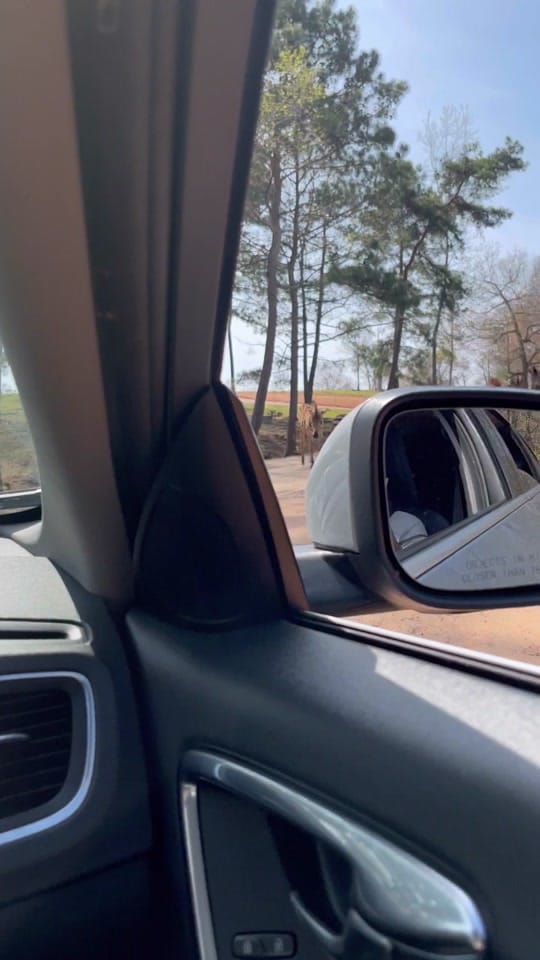 Post 10 by Rex & Mo 🥰 on TikTok (video)