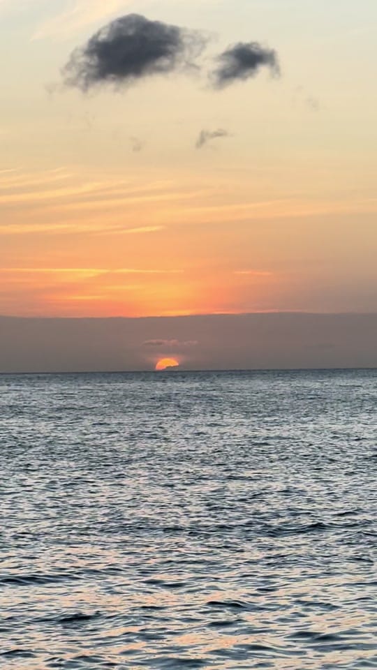 Post 7 by hhalaska on TikTok (video)