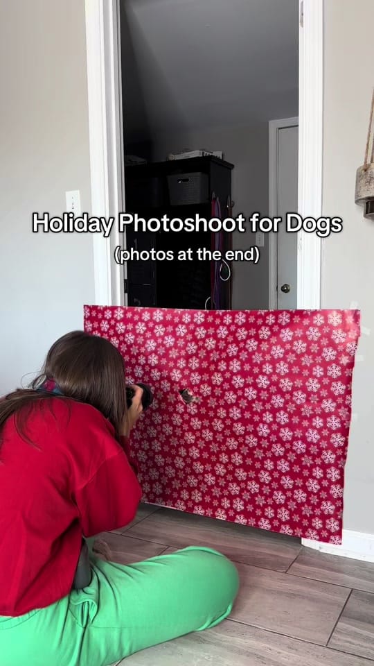 Post 9 by Kennedy & Marshall 🐾📷🎞️ on TikTok (video)