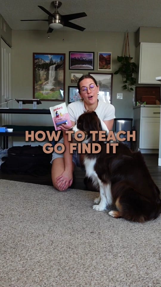 Post 4 by Kennedy & Marshall 🐾📷🎞️ on TikTok (video)