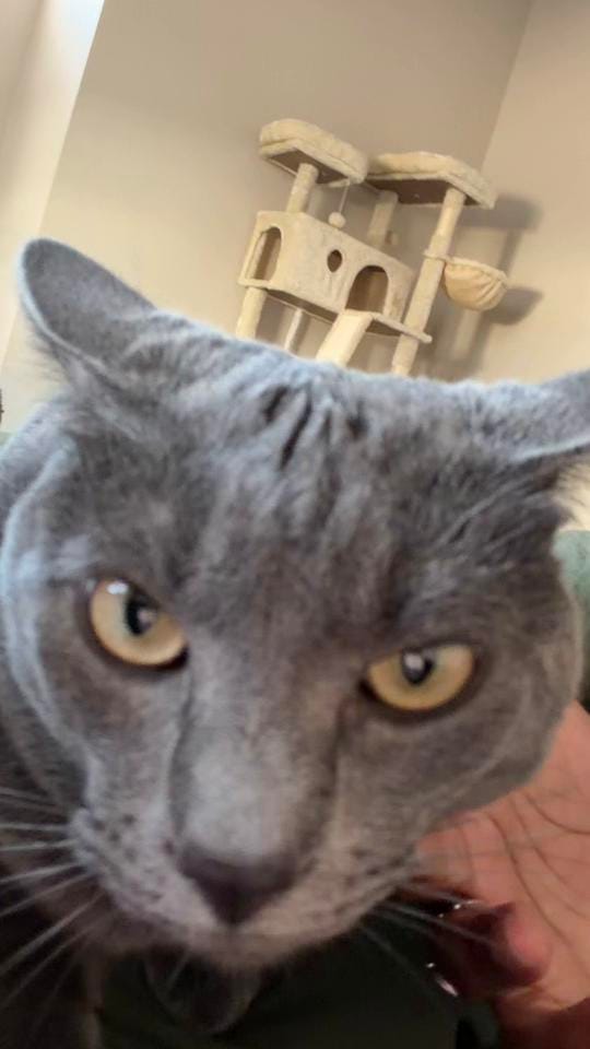Post 7 by Tierra📚 on TikTok (video)