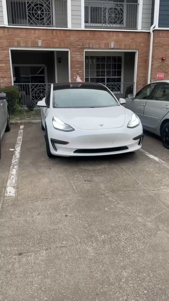 Post 6 by Tierra📚 on TikTok (video)