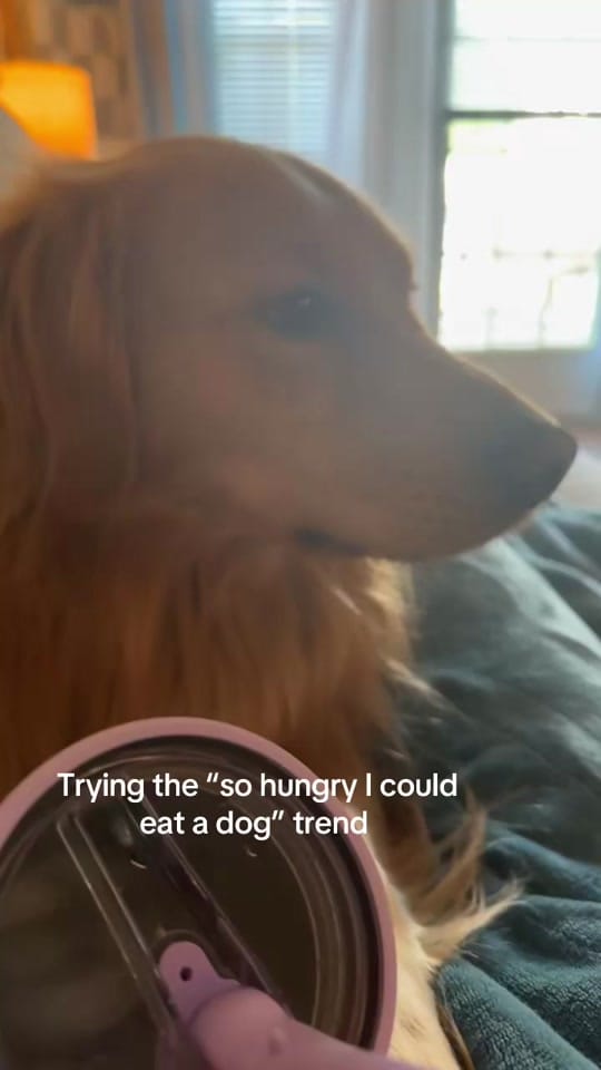 Post 10 by Bethany Randolph on TikTok (video)
