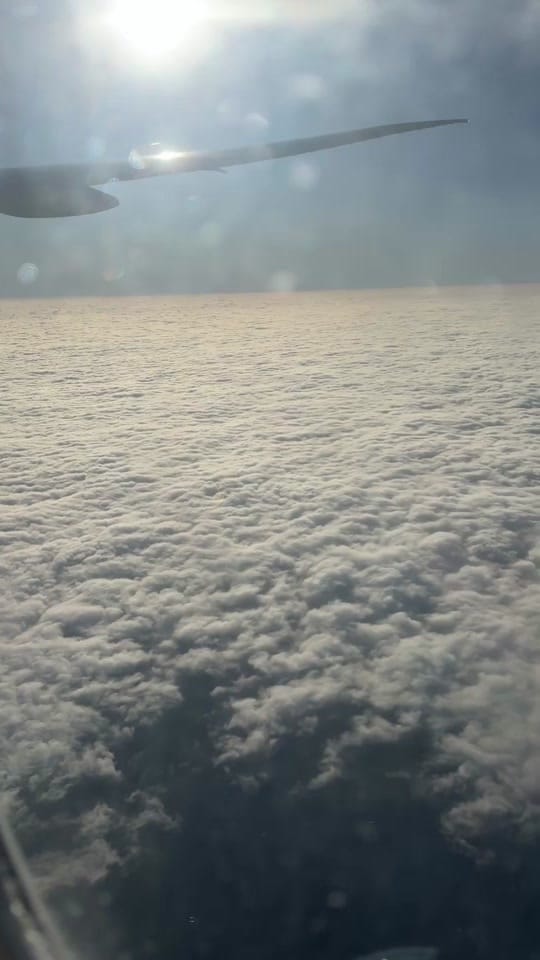 Post 4 by Daniela Genie on TikTok (video)