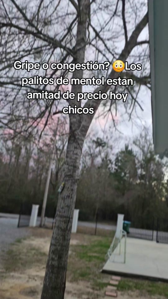 Post 8 by leahttshop🛍 on TikTok (video)
