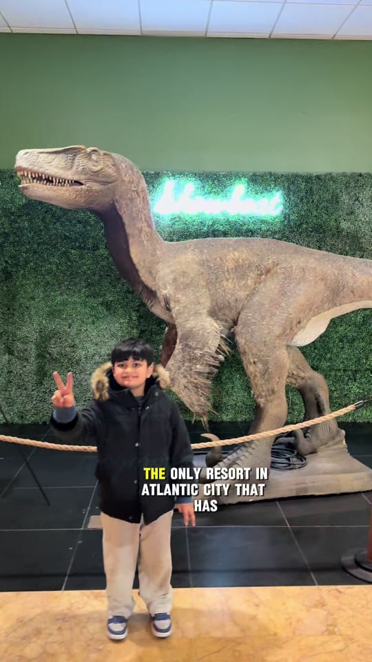 Post 4 by Ayesha Rani on TikTok (video)