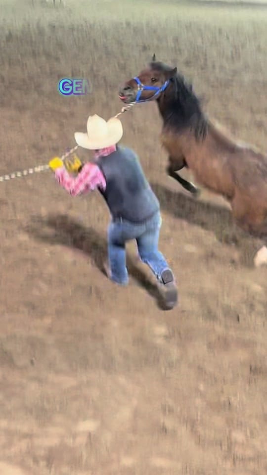 Post 9 by kn0xrodeo on TikTok (video)