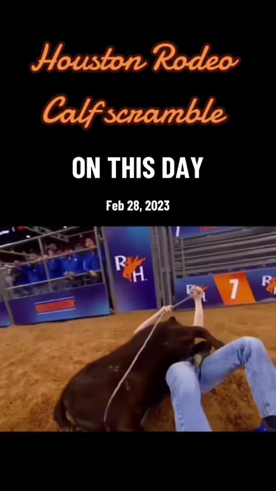 Post 8 by kn0xrodeo on TikTok (video)