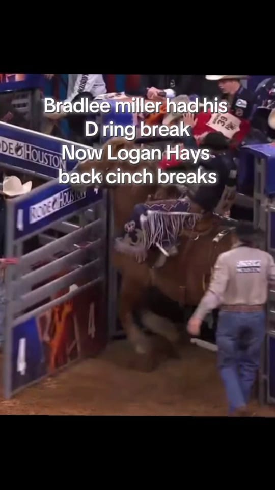 Post 2 by kn0xrodeo on TikTok (video)