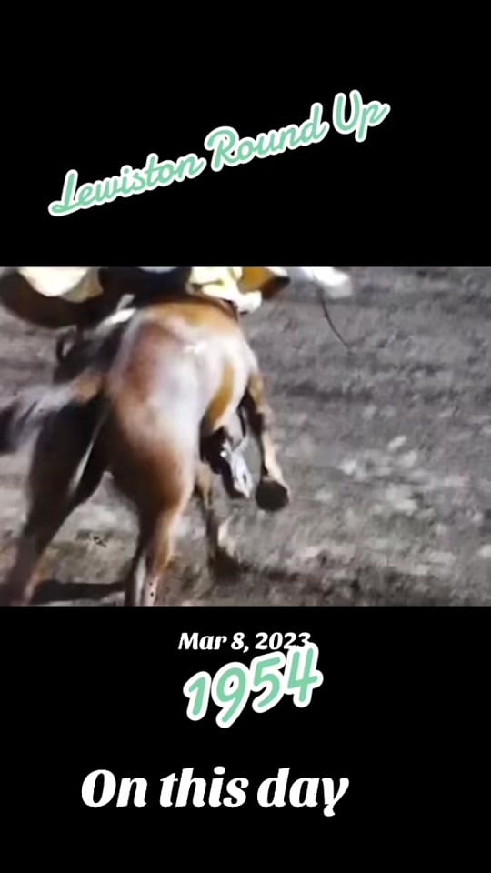 Post 5 by kn0xrodeo on TikTok (video)