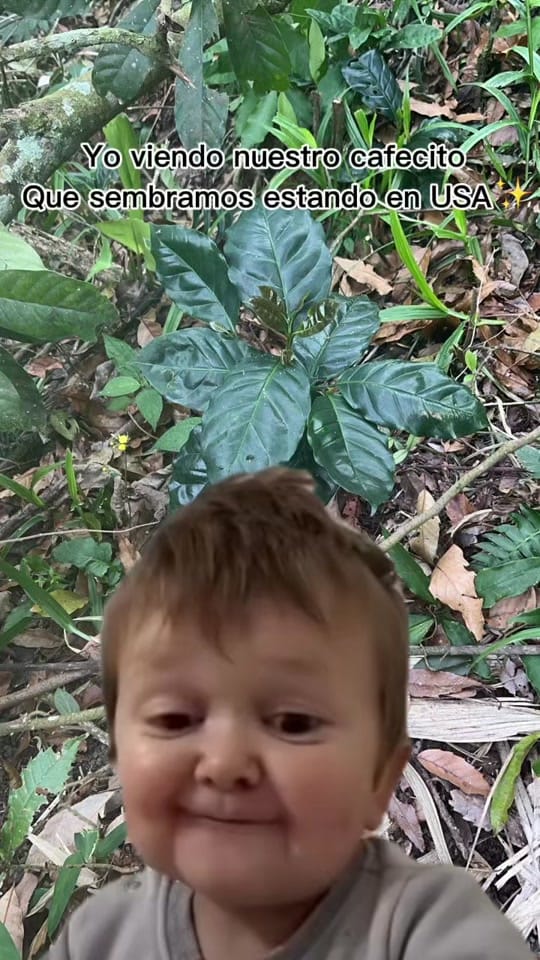 Post 5 by AshleyDR🩵 on TikTok (video)
