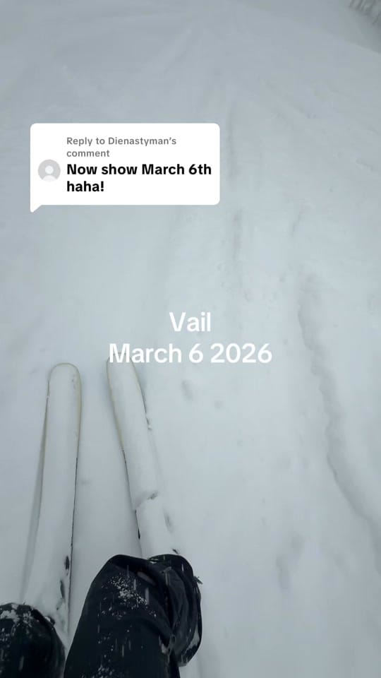 Post 4 by Lisa Opie on TikTok (video)