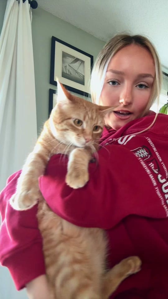 Post 7 by lillian clock on TikTok (video)