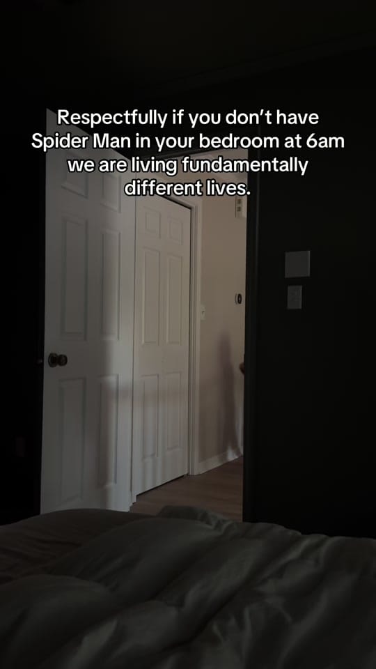 Post 1 by Shelby Barnes on TikTok (video)