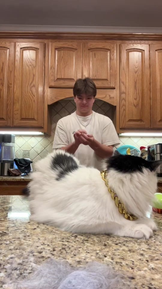 Post 8 by Carson Day on TikTok (video)