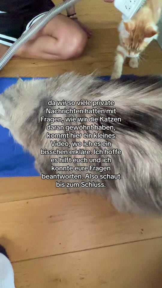 Post 9 by Pascha&Semih&Mika on TikTok (video)