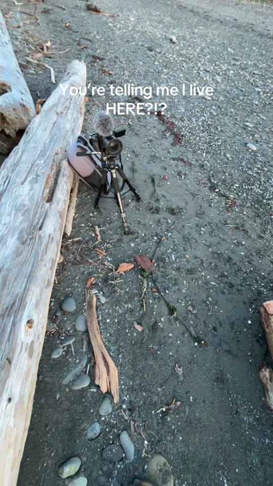 Post 7 by Diamond💎 on TikTok (video)