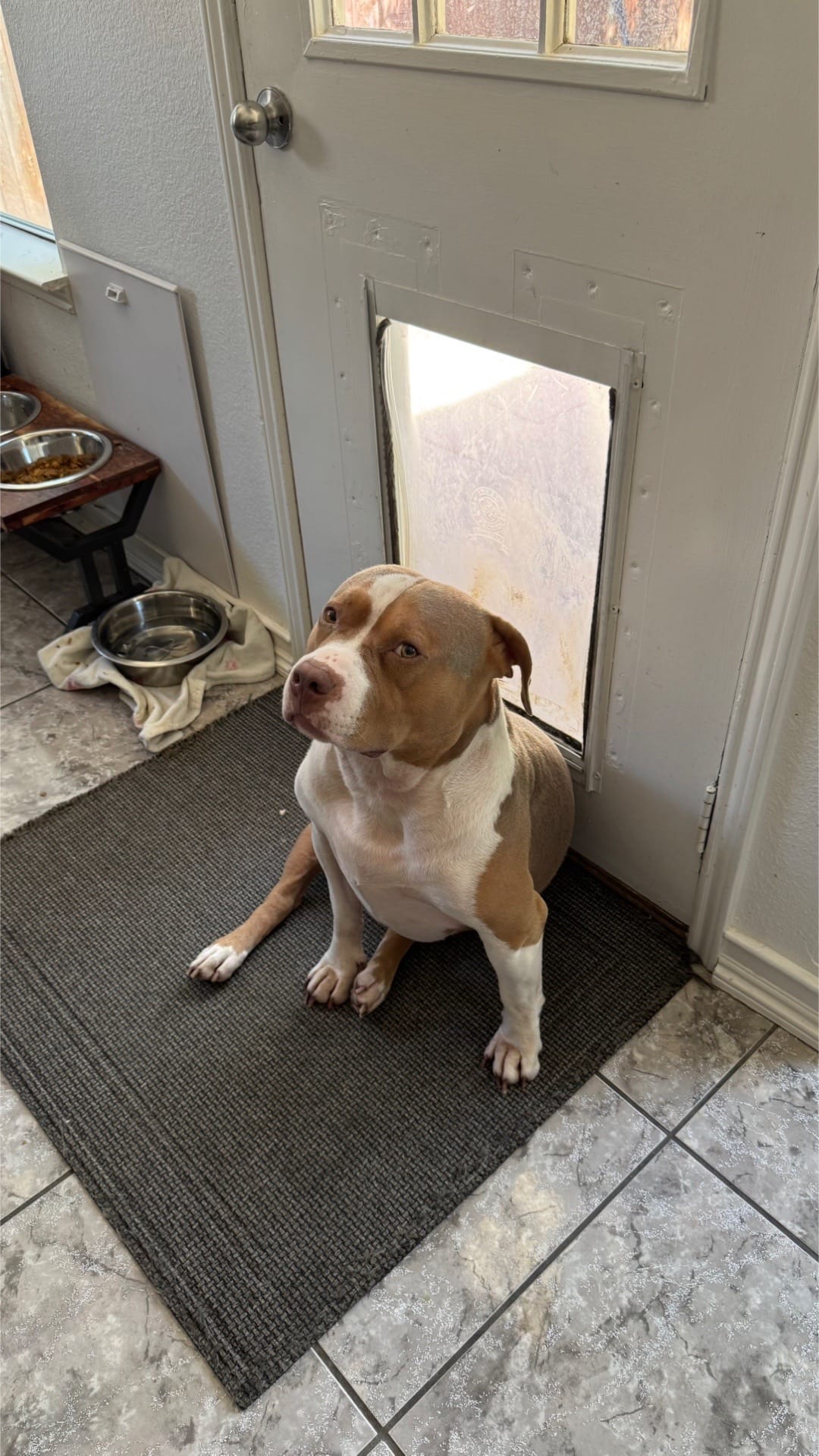 Post 5 by Steph Magellan on TikTok (video)