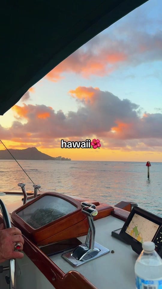 Post 1 by lily vasc on TikTok (video)