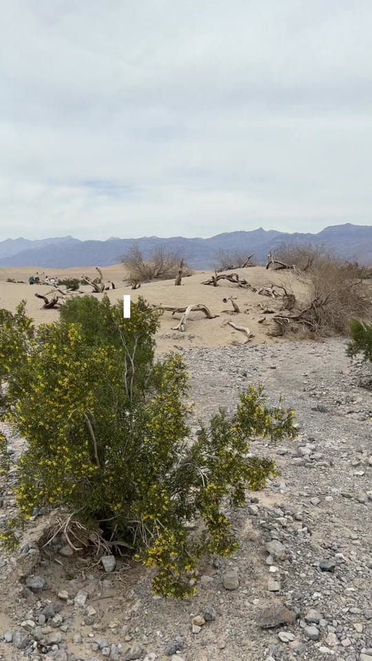 Post 7 by SeenByAmy | Travel on TikTok (video)