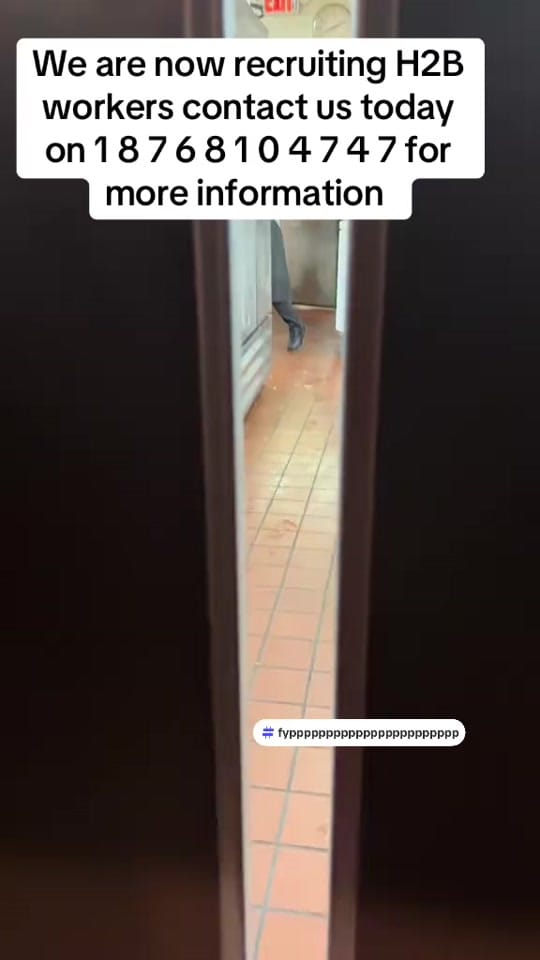 Post 5 by ministry.of.labor6 on TikTok (video)