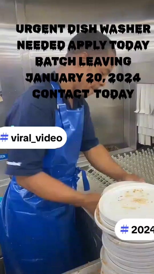 Post 9 by ministry.of.labor6 on TikTok (video)