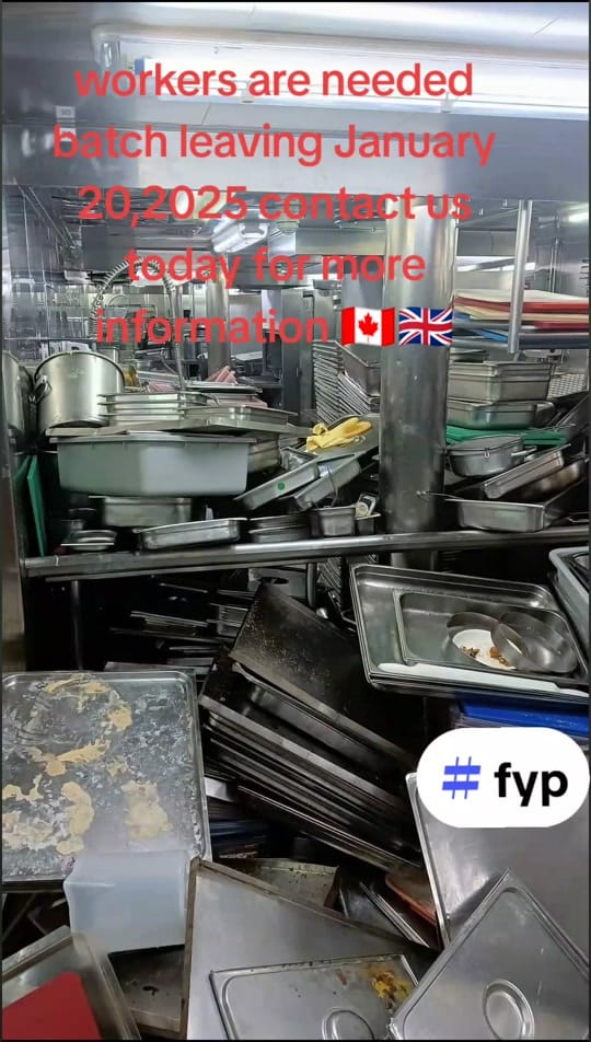 Post 8 by ministry.of.labor6 on TikTok (video)