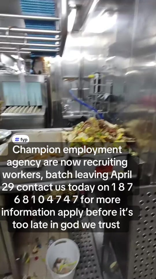 Post 1 by ministry.of.labor6 on TikTok (video)