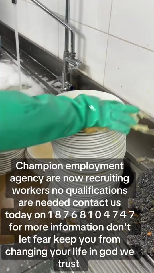 Post 3 by ministry.of.labor6 on TikTok (video)