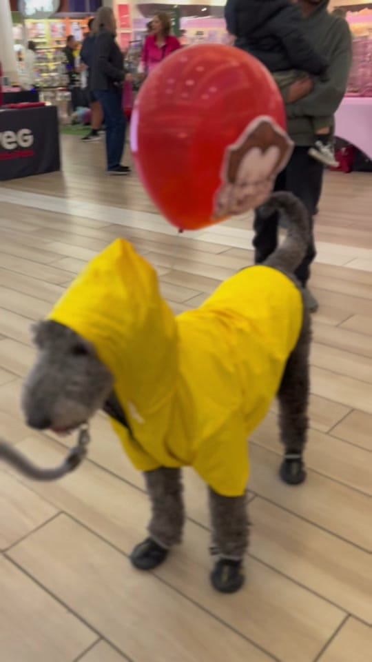 Post 2 by alissia monae✨ on TikTok (video)