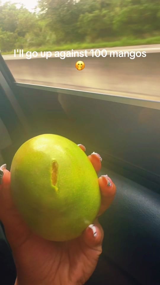 Post 4 by Miranda Sasha 🦋 on TikTok (video)