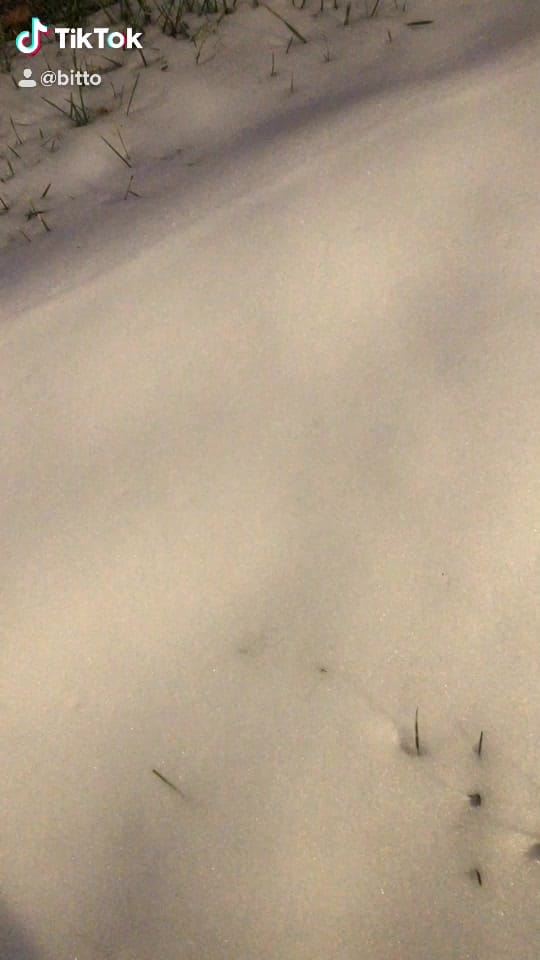 Post 9 by Molo on TikTok (video)