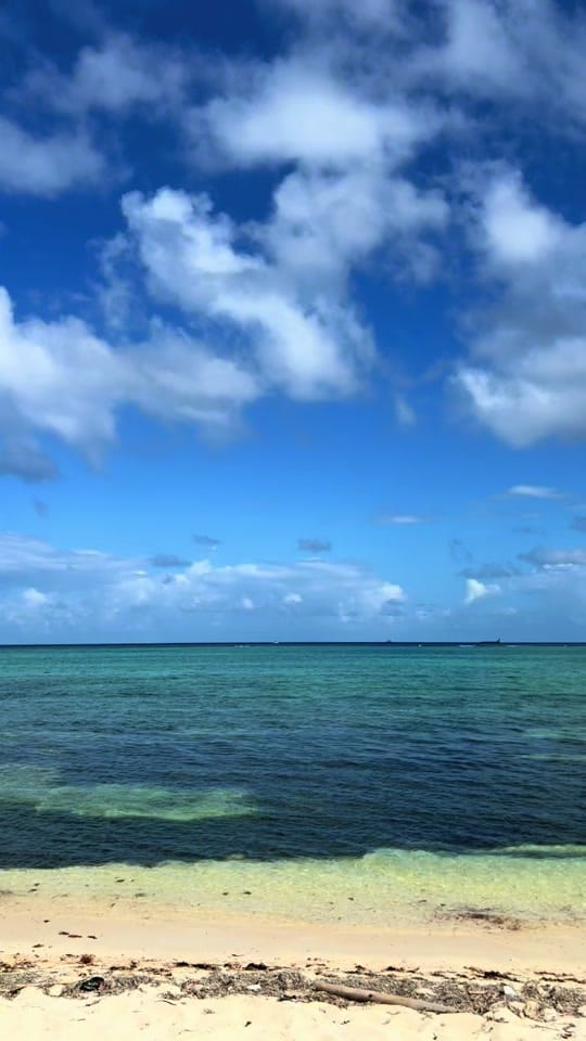 Post 7 by ER Nurse 🎀 | Travel ✈️ on TikTok (video)