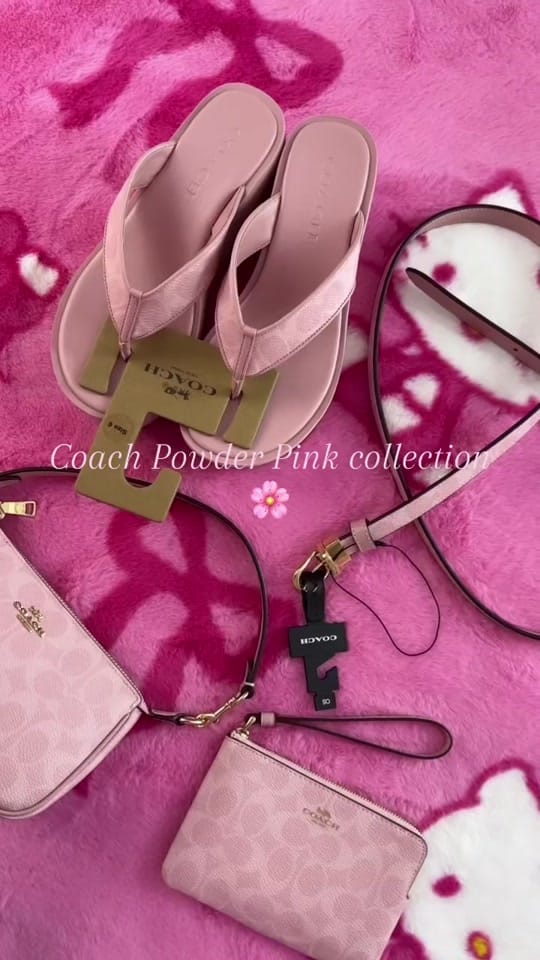 Post 9 by Leanna 🌸 on TikTok (video)