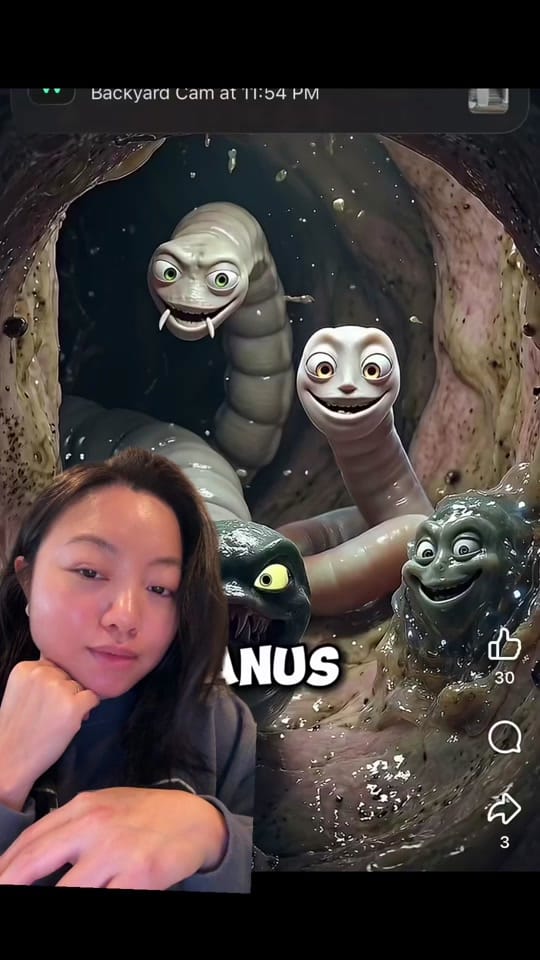Post 10 by Kathy N | UGC & TTS creator on TikTok (video)