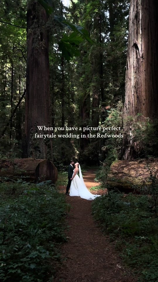 Post 9 by Iasis | Wedding Photographer on TikTok (video)