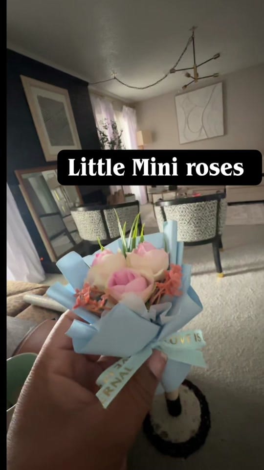 Post 7 by Perfectly Imprrfect Designs on TikTok (video)