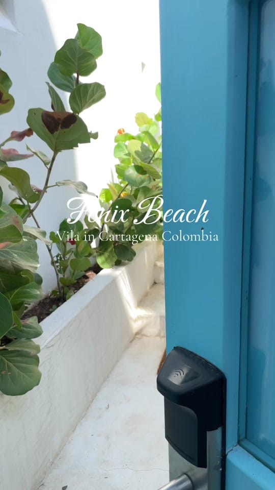 Post 3 by Coco  | UGC | Travel | Beauty on TikTok (video)