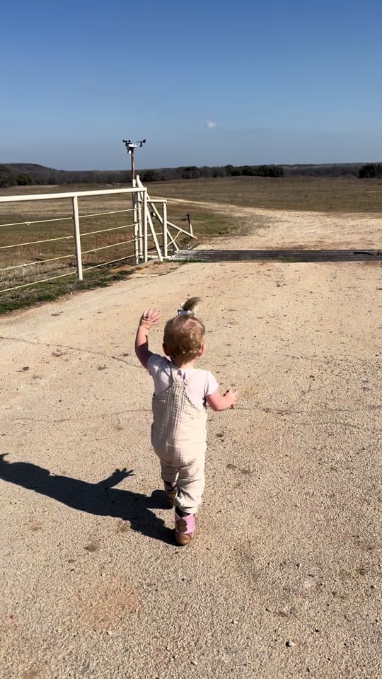 Post 2 by ashleydrewartistry on TikTok (video)