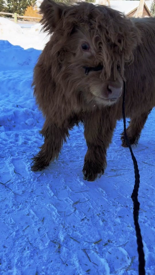 Post 10 by ashleydrewartistry on TikTok (video)