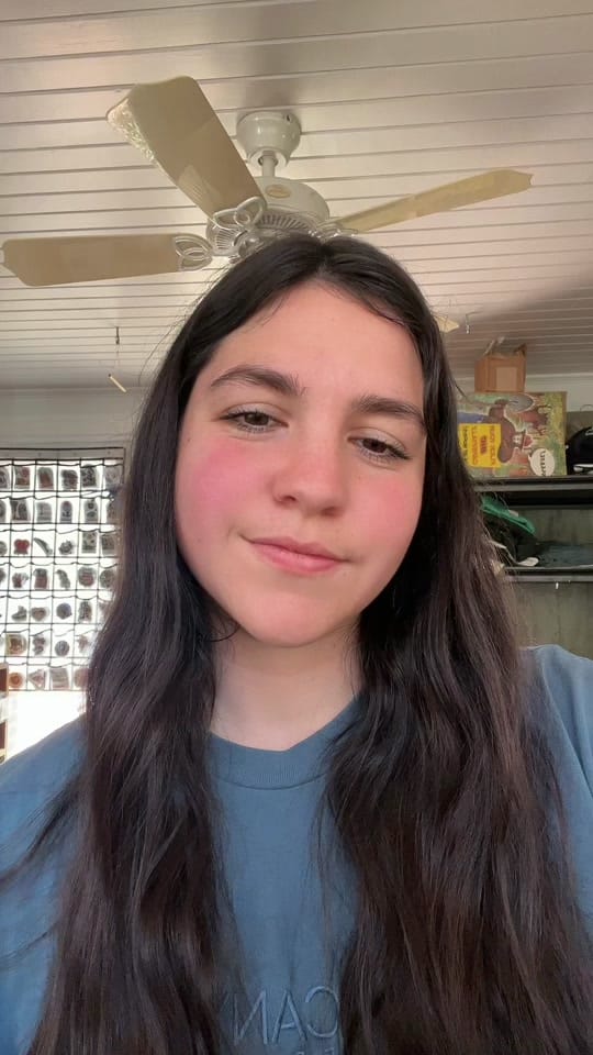 Post 1 by Inked Traveler on TikTok (video)