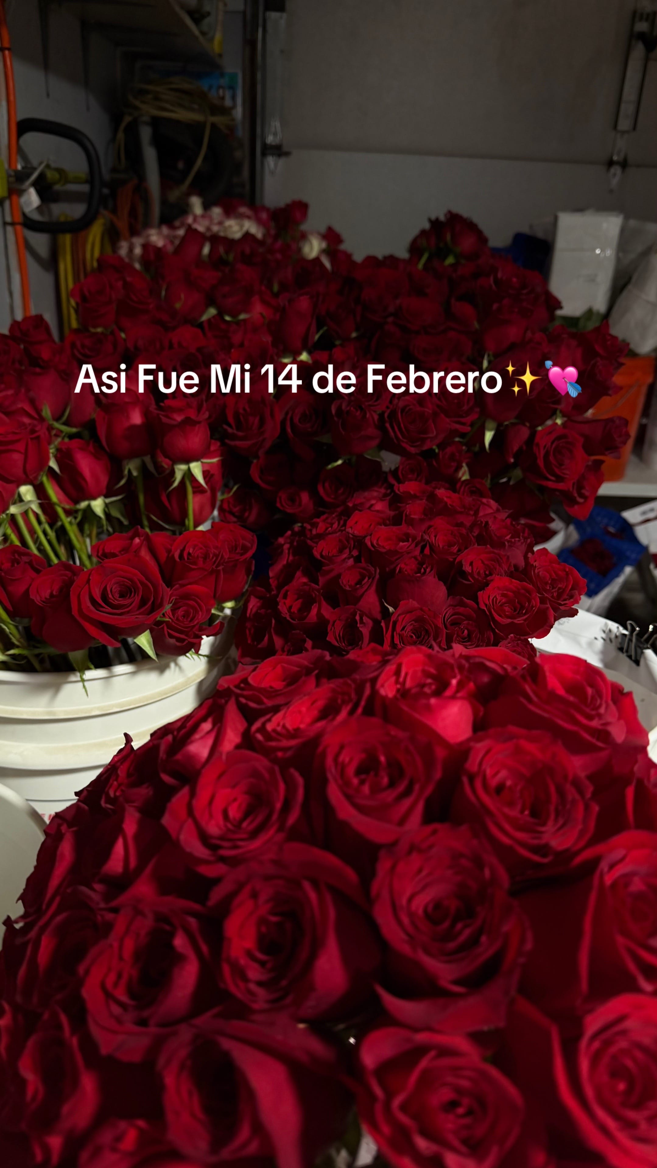 Post 9 by Yoely | Latina Creator on TikTok (video)