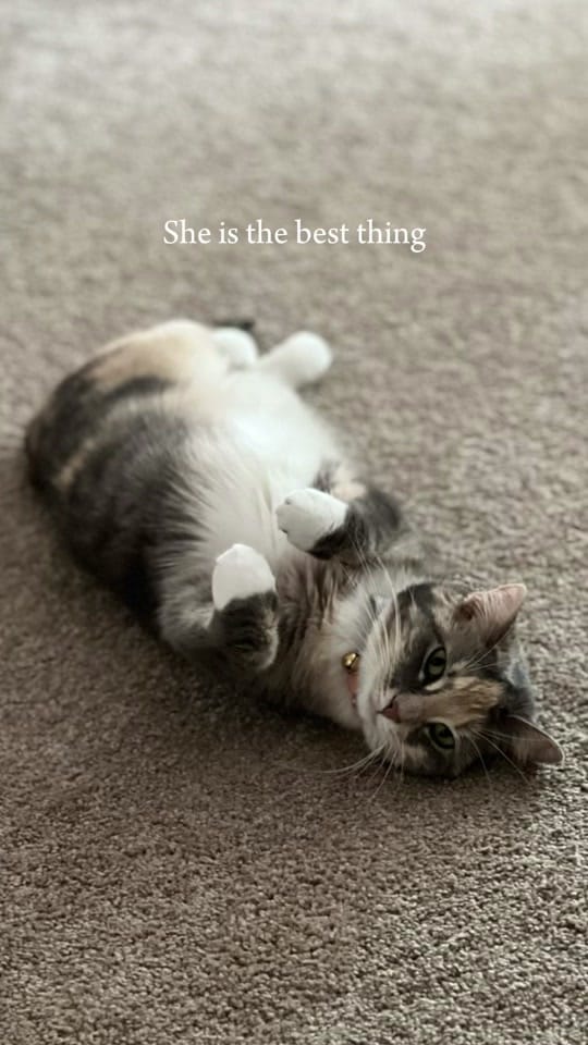 Post 3 by Lexie | Girl Mama 🩷✨ on TikTok (video)