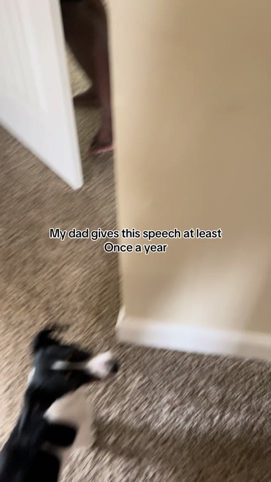 Post 5 by Tylan Wellmaker on TikTok (video)