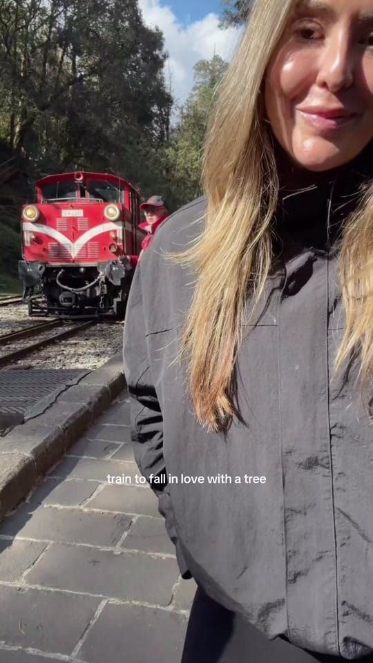 Post 1 by Kat Ensign on TikTok (video)