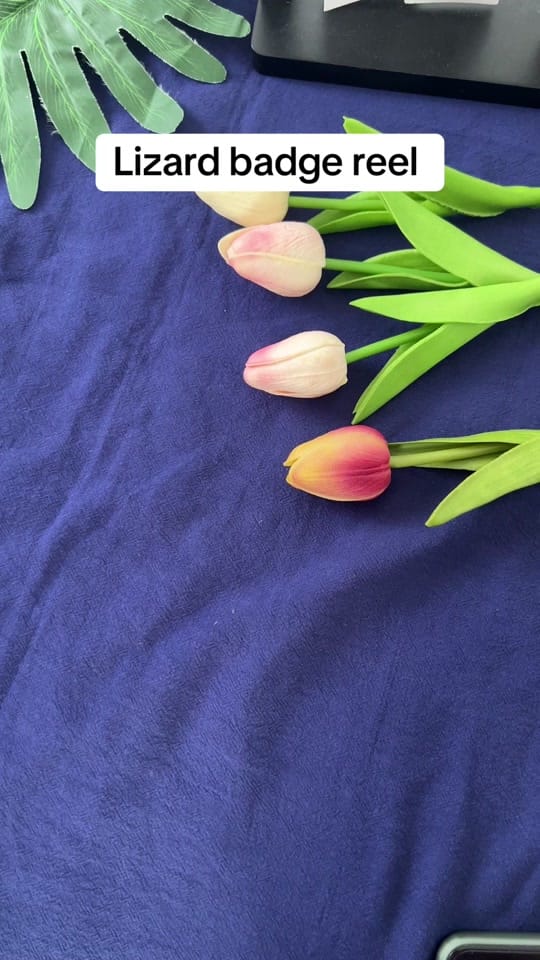 Post 10 by Megan on TikTok (video)