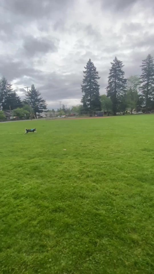 Post 7 by howlao on TikTok (video)